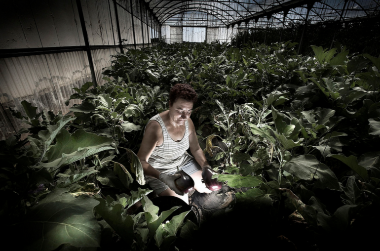Toutes-les-tailles-GreenHouse-Farmer-47-Flickr -partage-de-photos .png